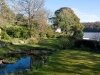 View in Garden