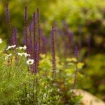 Old Vicarage bed and breakfast Truro